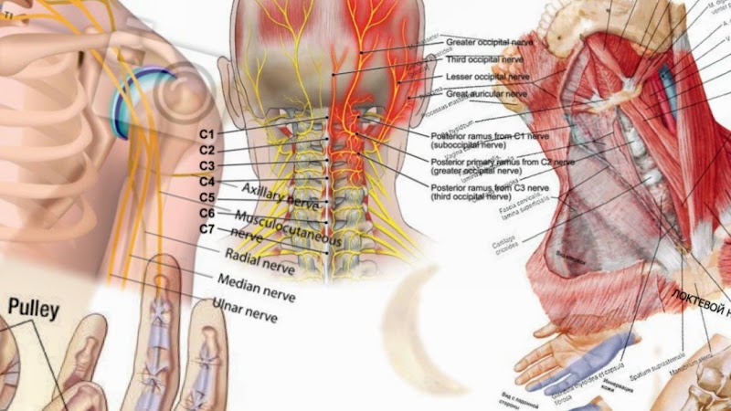 Urutan Tradisional Penang Batu Maung - Day Spa in Batu Maung