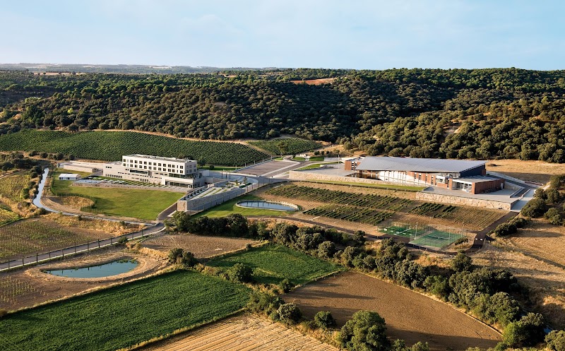 Valbusenda Hotel Bodega & Spa Douro Valley - Hotel Spa in Douro Valley
