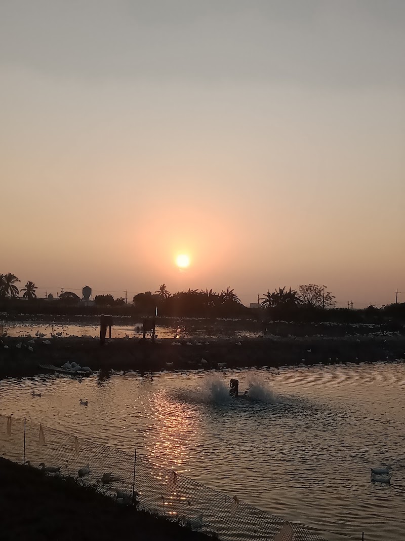 Vera Spa Chiayi City - Day Spa in Chiayi City