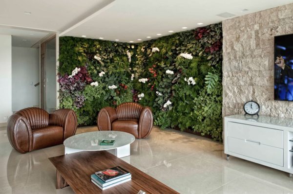 VertGreenMS Campo Grande - Day Spa in Campo Grande