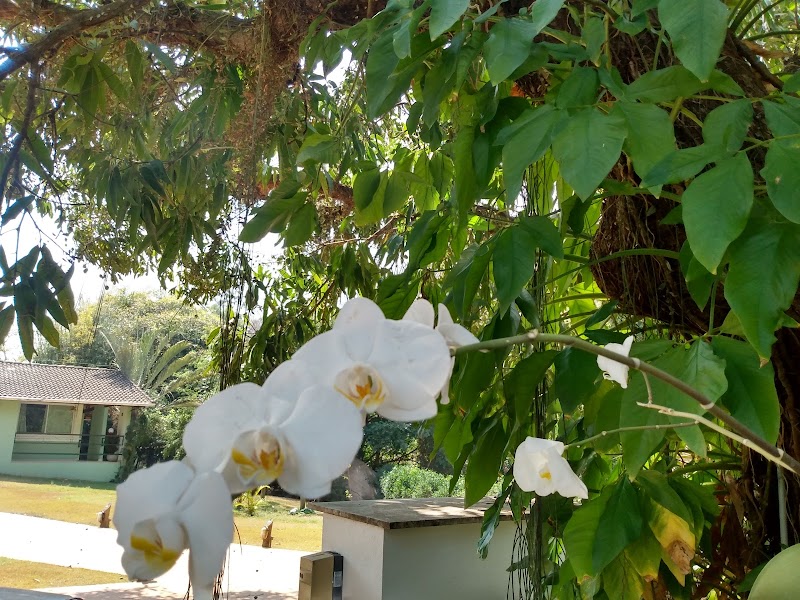 Vila Aconchego Cachoeiro de Itapemirim - Day Spa in Cachoeiro de Itapemirim