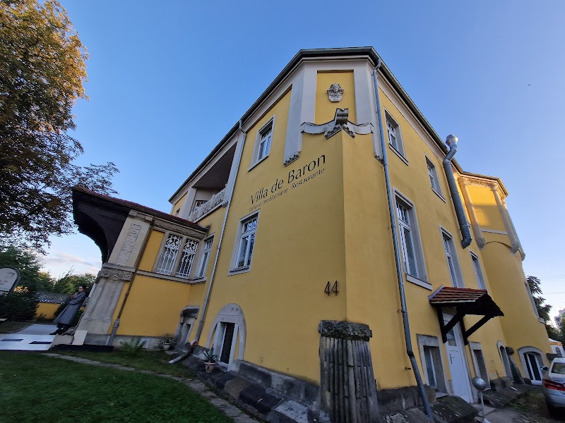 Villa De Baron Dresden - Resort Spa in Dresden