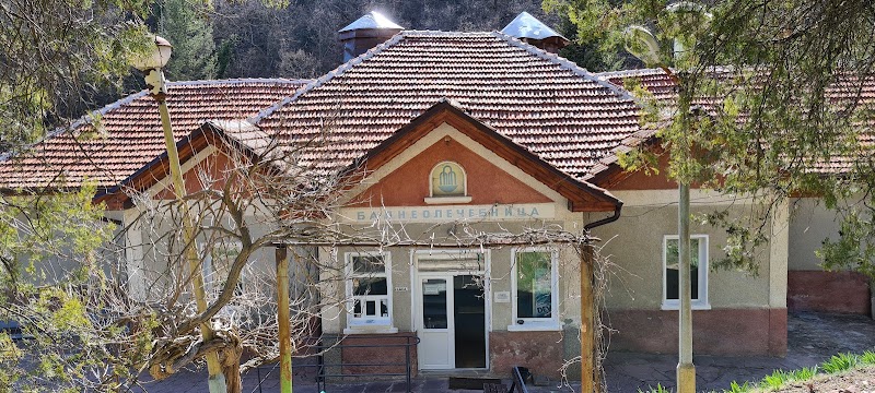 Village Banya (Panagyurishte) - Day Spa in Panagyurishte