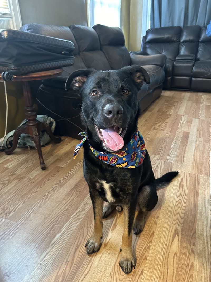 Vip Mini Spa Kentwood - Day Spa in Kentwood