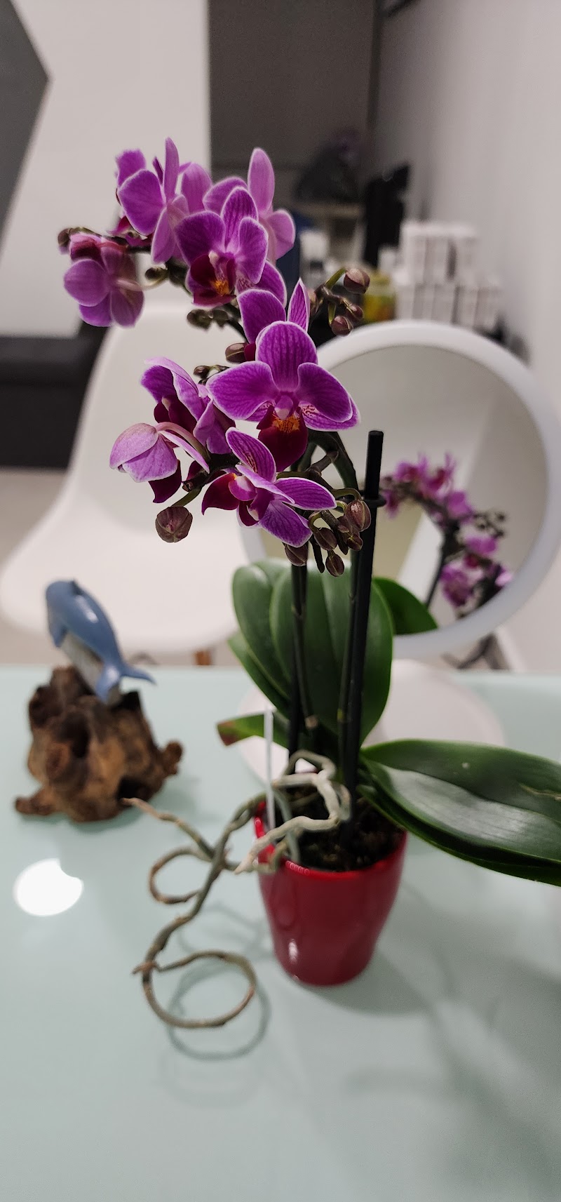 Vitality Wellness & MedSpa Puerto Vallarta