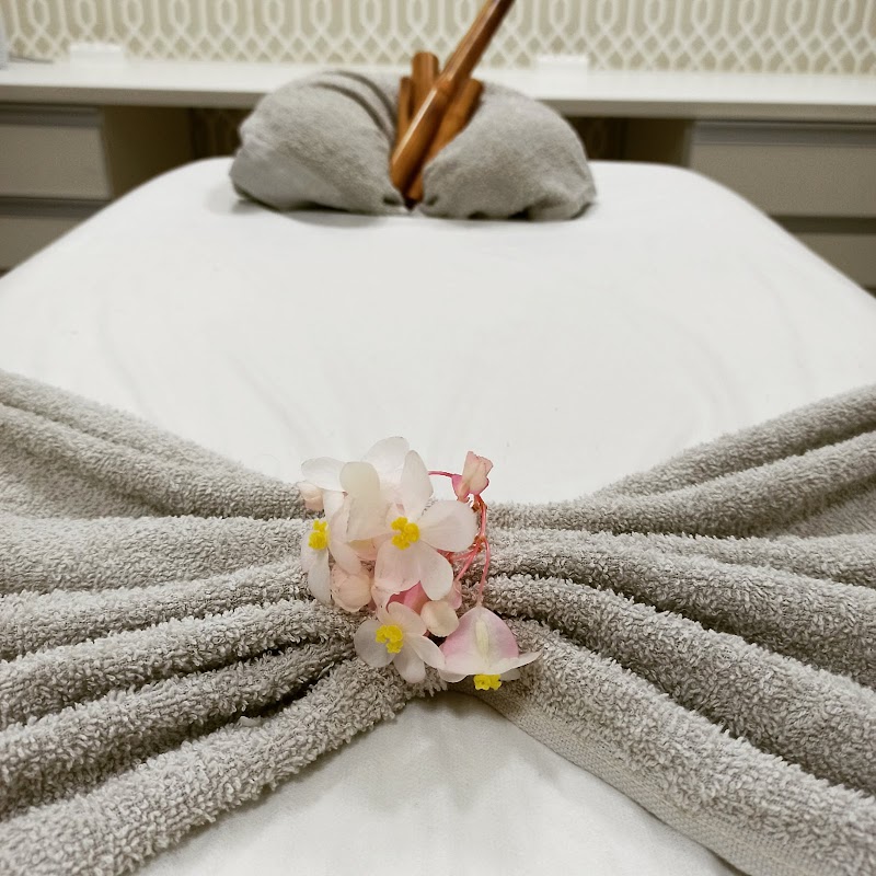 Vivere Salão Spa Presidente Prudente - Wellness Retreat in Presidente Prudente