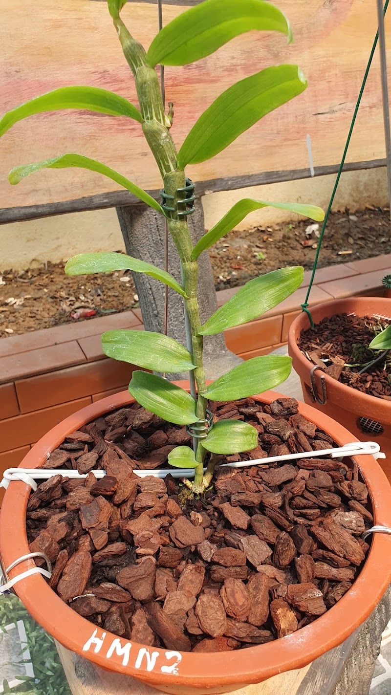 Vuon Lan Khong Gian Xanh Phường Ba Đồn - Day Spa in Phường Ba Đồn