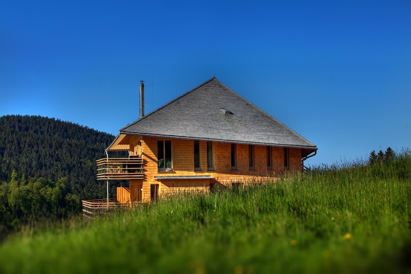 Waldfrieden Black Forest - Hotel Spa in Black Forest