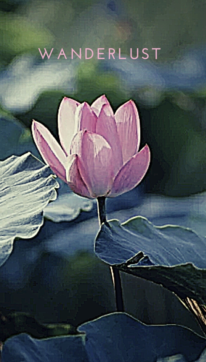 Wanderlust Tantramar - Day Spa in Tantramar