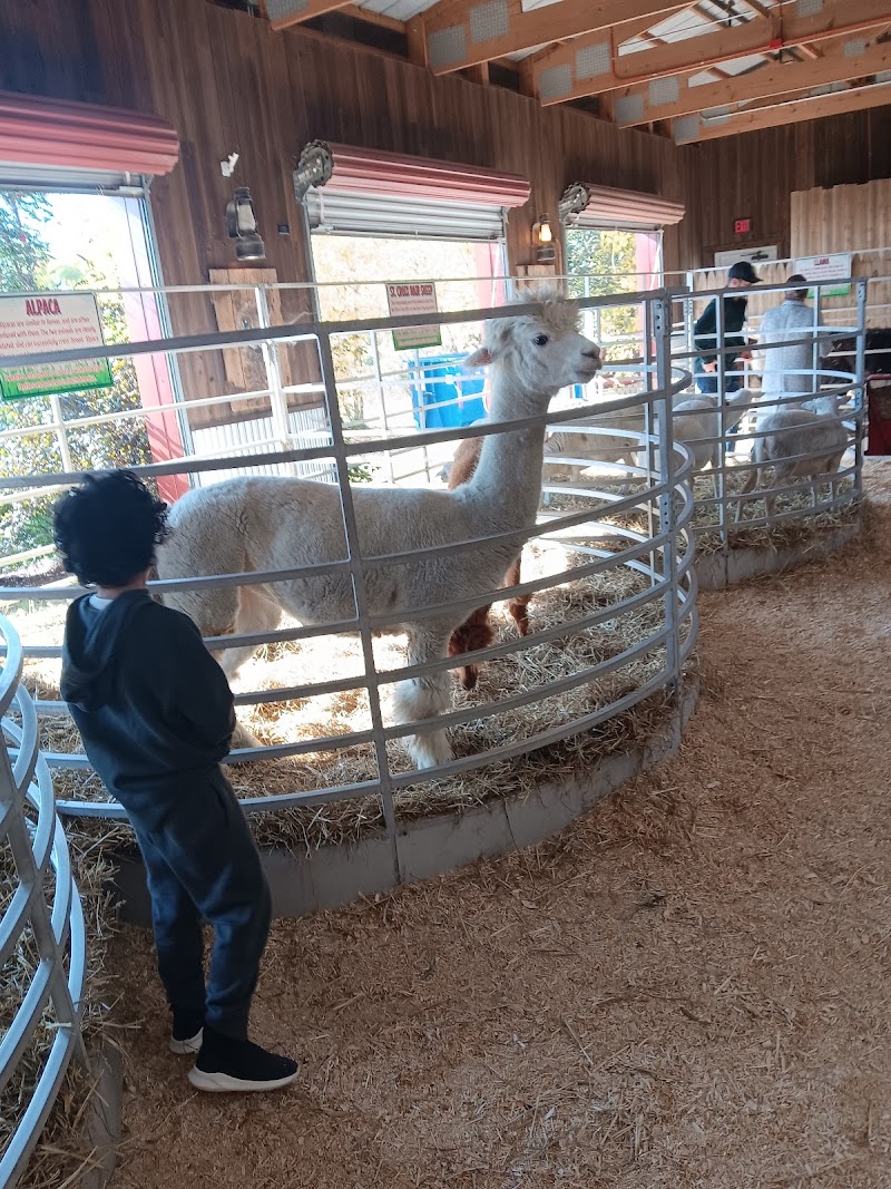 Ward Farm and Chalet Madaba - Day Spa in Madaba