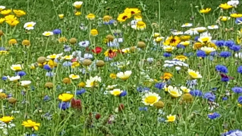 Wellcosma Leipzig - Day Spa in Leipzig