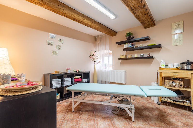 Wellness centrum Svaté Pole Obořiště - Wellness Retreat in Obořiště