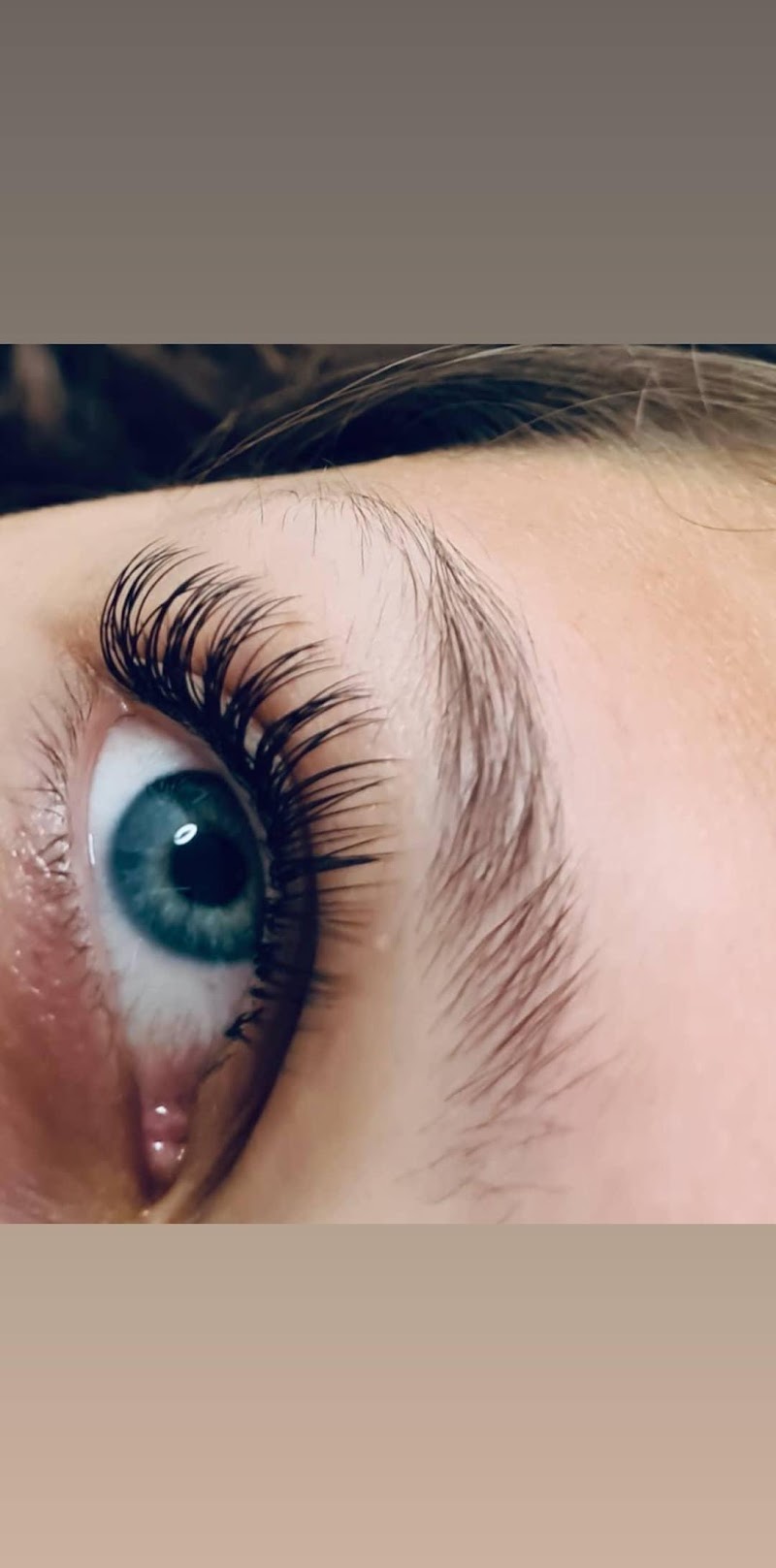 WellnessStimme Mannheim photo