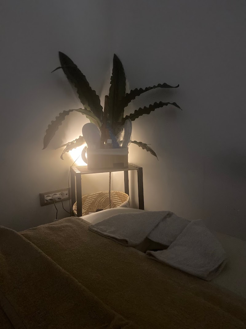 WellNest by Sylvia V. Kefalonia