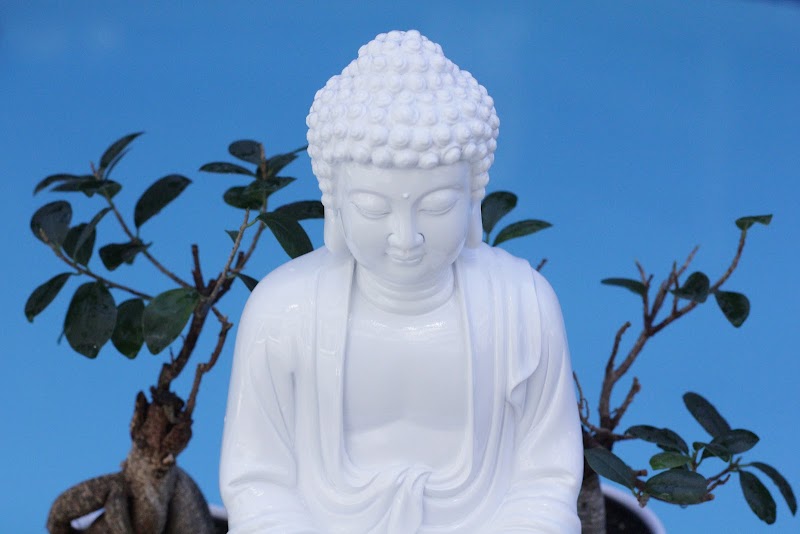 Whistler Lotus Spa & Lounge at Summit Lodge Boutique Hotel - Resort Spa in Whistler