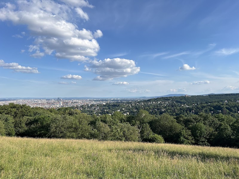 Wiese Schafbergbad Wien - Thermal Spa in Wien