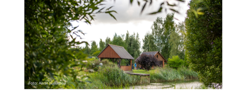 Wiire suitsusaun ja puhketalu / smoke sauna Saulepa küla