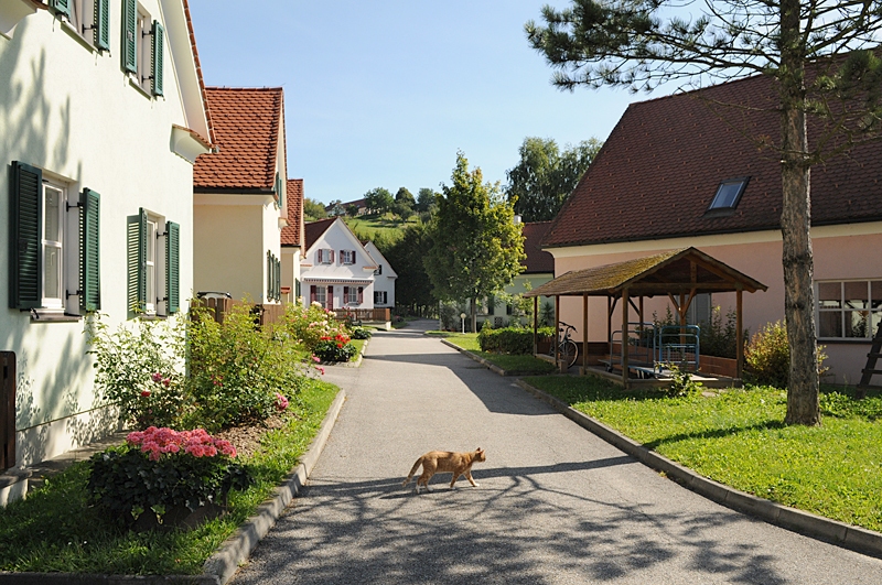 Wilfinger Thermal Biodorf Bad Waltersdorf - Thermal Spa in Bad Waltersdorf