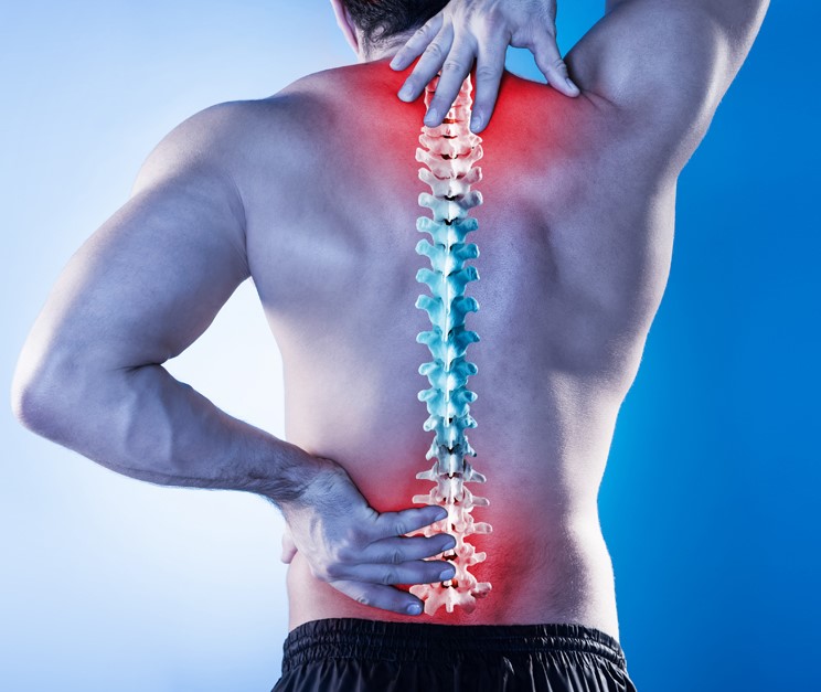 Wonderful Spa Berkeley photo