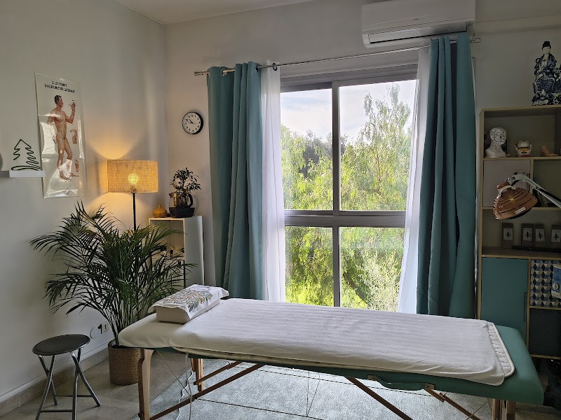 WU XING énergétique chinoise Villeneuve-Loubet - Day Spa in Villeneuve-Loubet