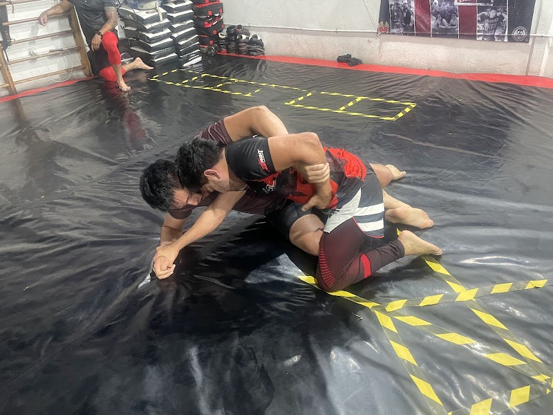 Xtremefitnnes Gustavo A Madero - Wellness Retreat in Gustavo A Madero