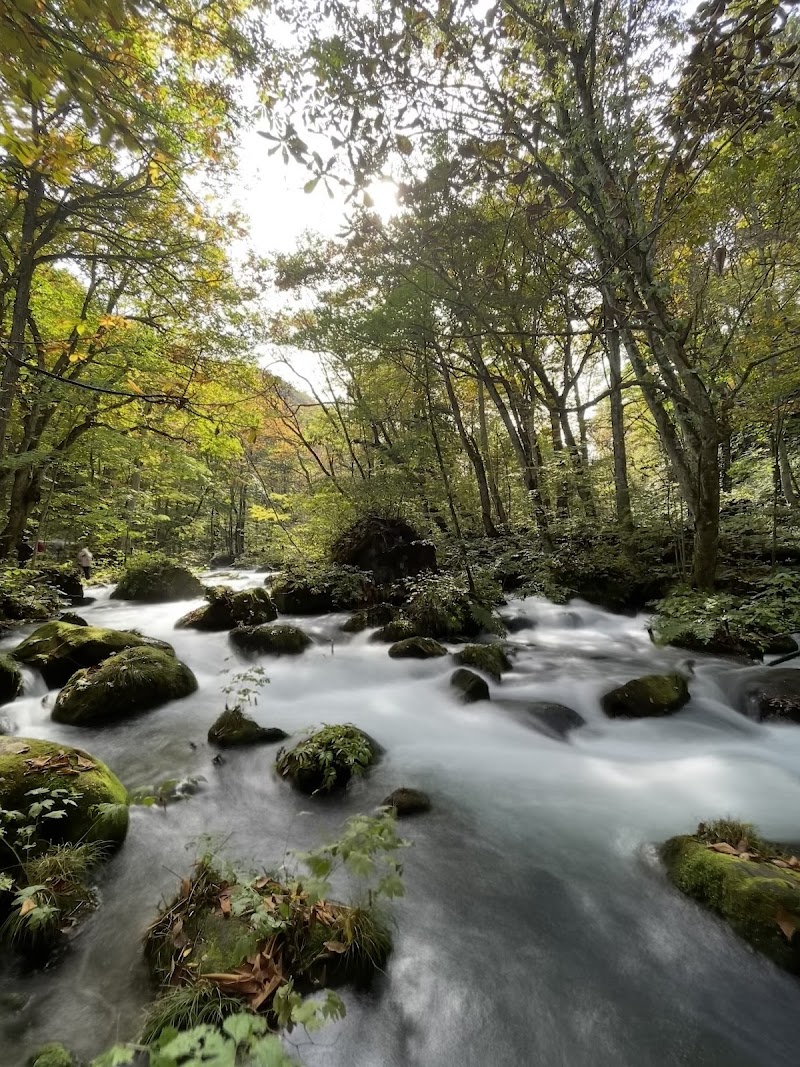 Yaekujyu no Yu Towada City - Day Spa in Towada City