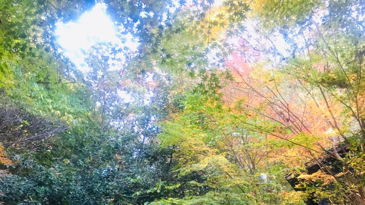 Yamaboushi Tosu City - Day Spa in Tosu City