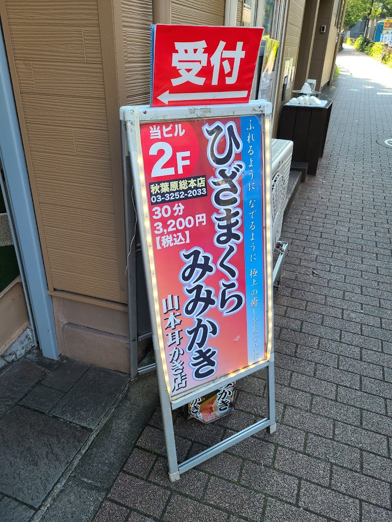 Yamamoto Ear Cleaning Akihabara Main Store Chiyoda City - Day Spa in Chiyoda City