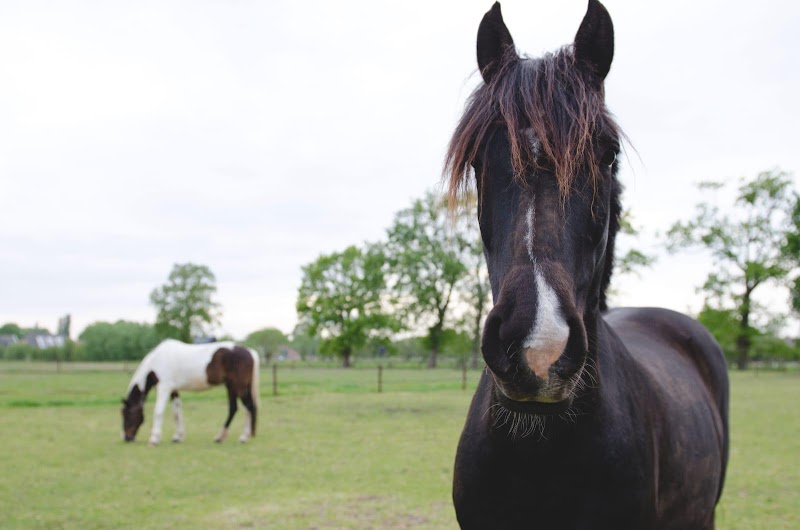 Yentl Care massage studio Nieuwegein - Day Spa in Nieuwegein