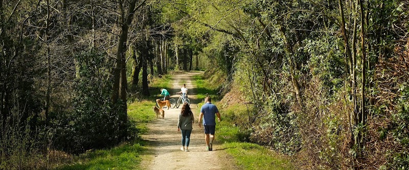 Yorkshire Spa Retreat - Medical Spa in Yorkshire