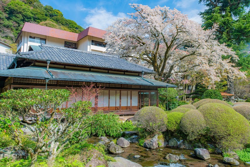 Yoshiike Ryokan Hakone - Hotel Spa in Hakone