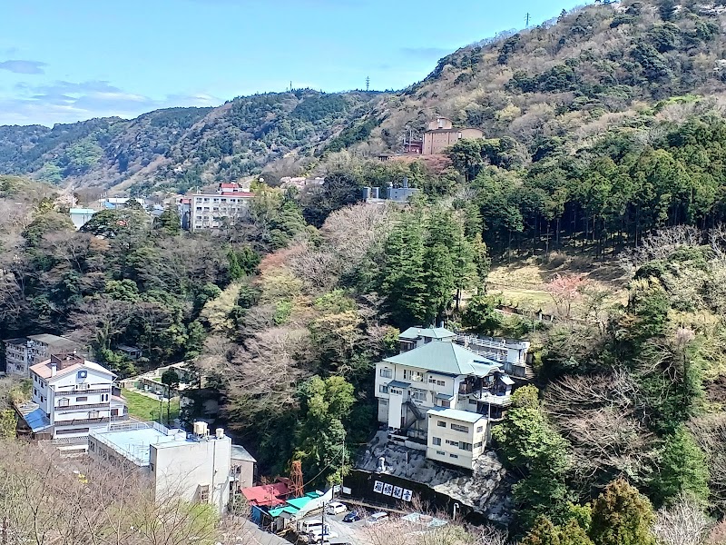Yu no Sato Onsen Seiyo City - Thermal Spa in Seiyo City