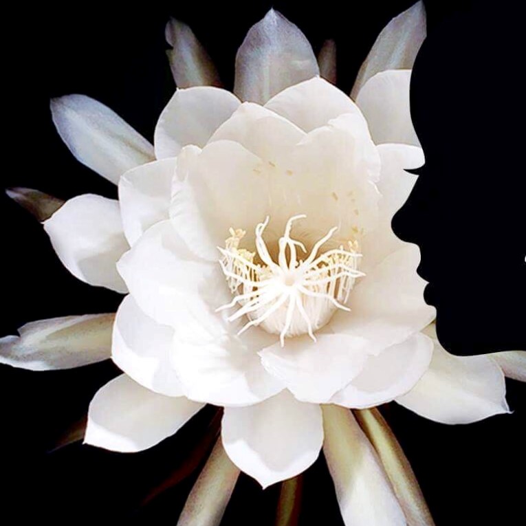 Yuliya's Krasa Spa Oliver Twp - Day Spa in Oliver Twp