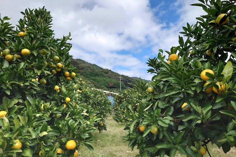 Yururira Harmony Gamagori City - Day Spa in Gamagori City