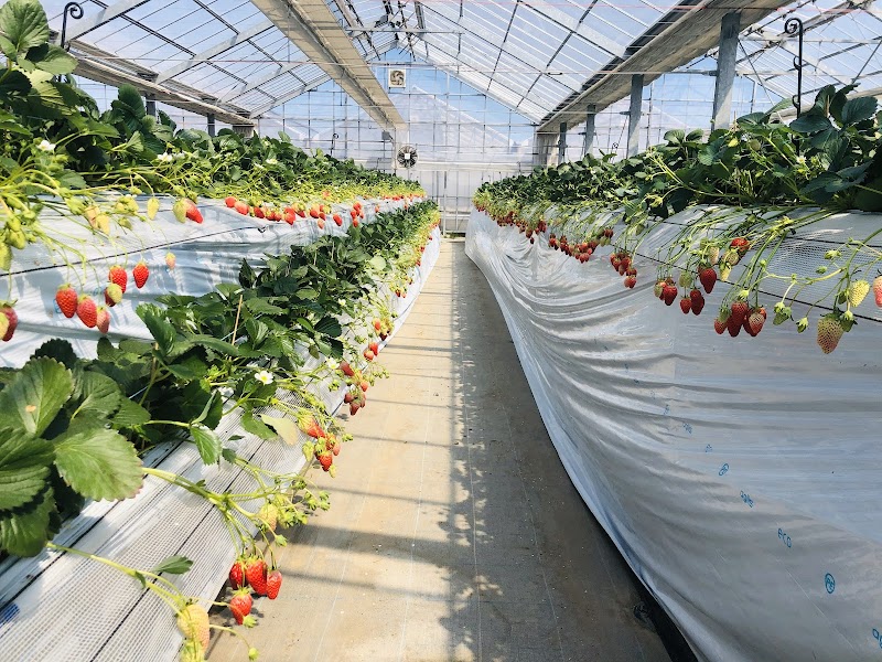 Yutendo Koshigaya - Day Spa in Koshigaya