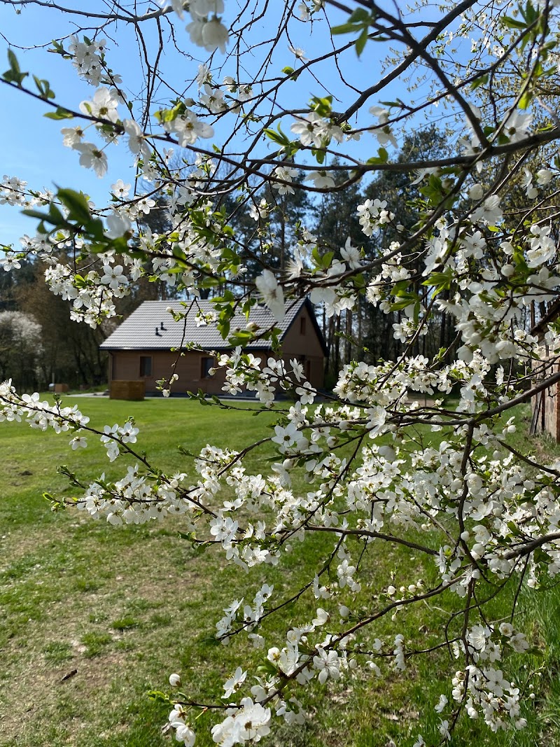 Zakątek_Zabiele38 Kolno (Gmina) - Day Spa in Kolno (Gmina)