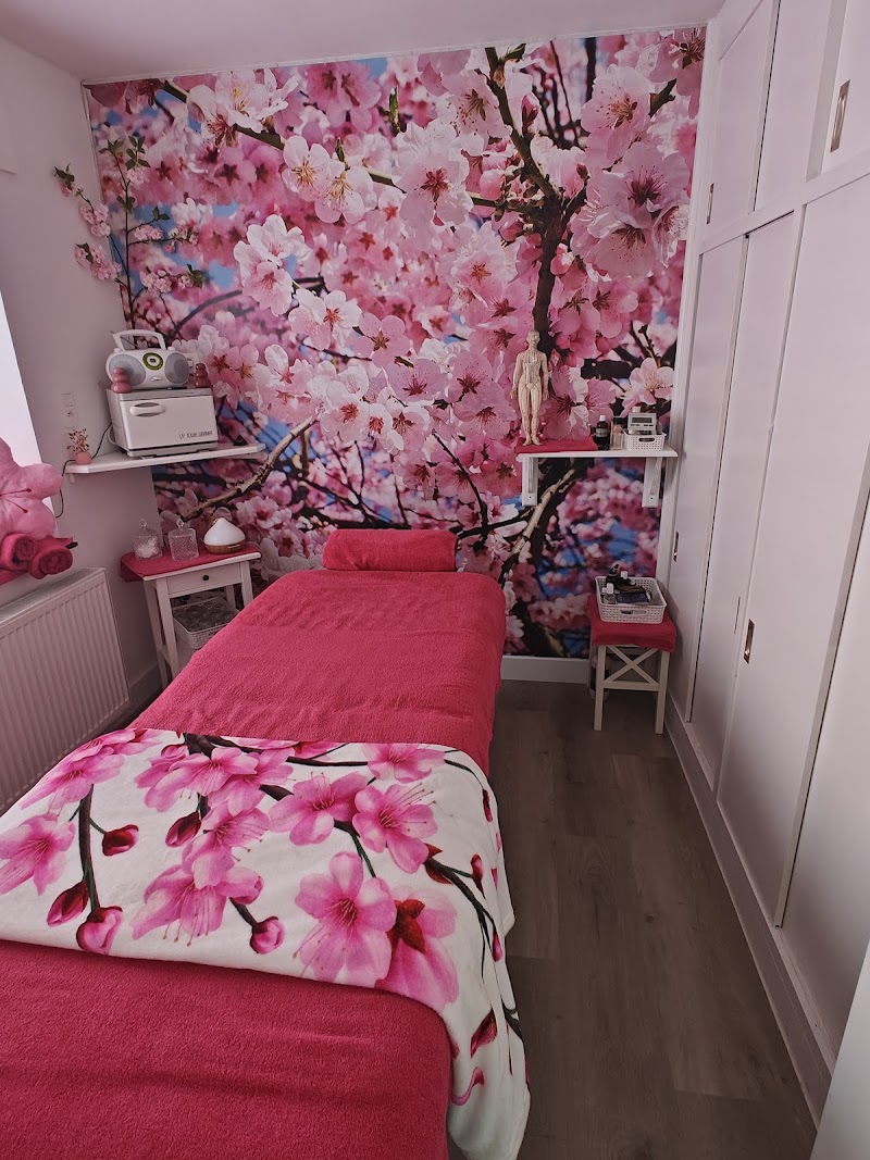 Zen and Go Waimes - Wellness Retreat in Waimes