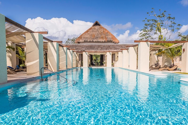 Zentropia Palladium Spa & Wellness Hanover Parish - Wellness Retreat in Hanover Parish