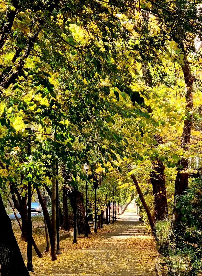 Zhambyl Mukhambetzhanov Almaty - Day Spa in Almaty
