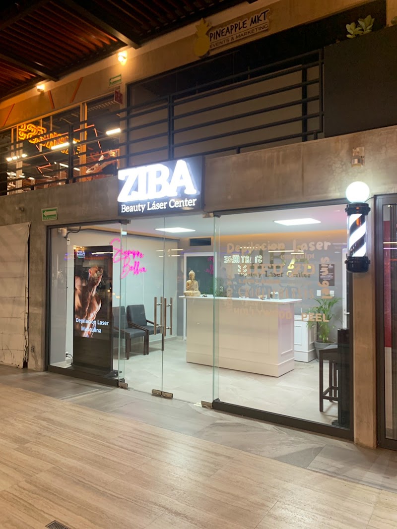 Ziba Depilacion Laser and Spa Francisco I Madero - Day Spa in Francisco I Madero